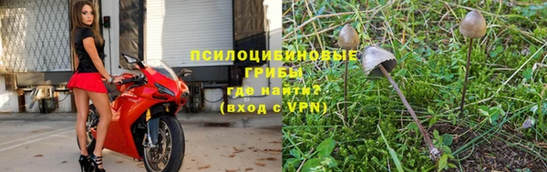 ешки Белокуриха